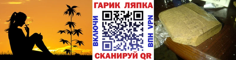 ГАШ Premium  Купить где  Белоозёрский 
